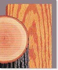 「涨知识」同一块木头切出不一样的纹理——木材的纹理与切割方式